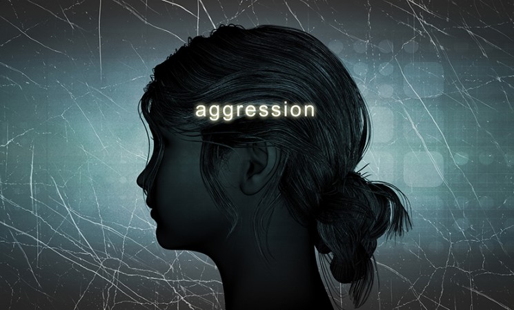 A behavioral and neural model for escalated aggression in females