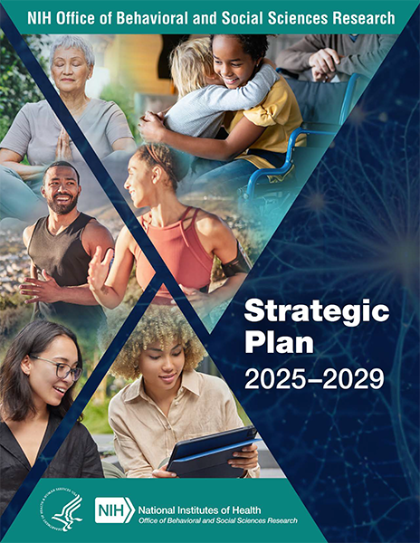 strategic plan cover