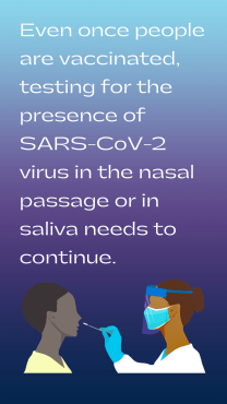Even once people are vaccinated, testing for the presence of the SARS-CoV-2 virus in the nasal passage or in saliva needs to continue. 