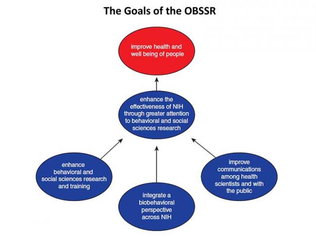 Chart indicating OBSSR’s priorities and how they work together to achieve its overall goal of improving people’s health and well-being